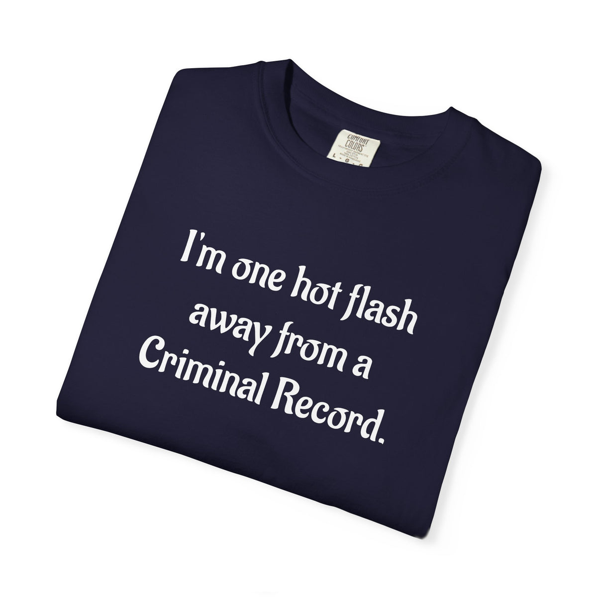 Criminal Record Funny Quote T-Shirt