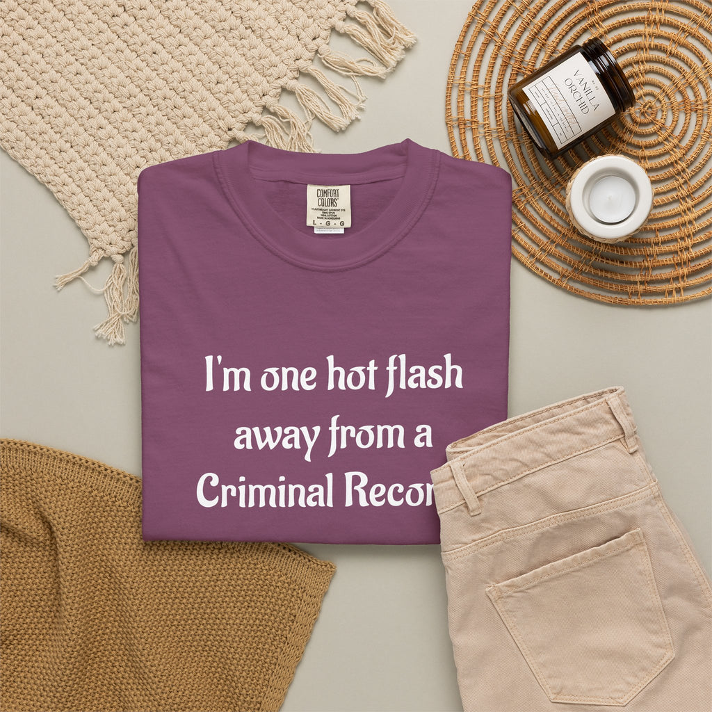 Criminal Record Funny Quote T-Shirt