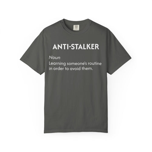 Anti-Stalker Noun Definition T-Shirt