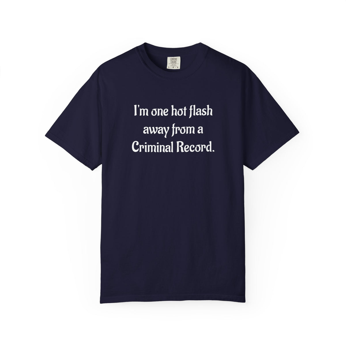 Criminal Record Funny Quote T-Shirt