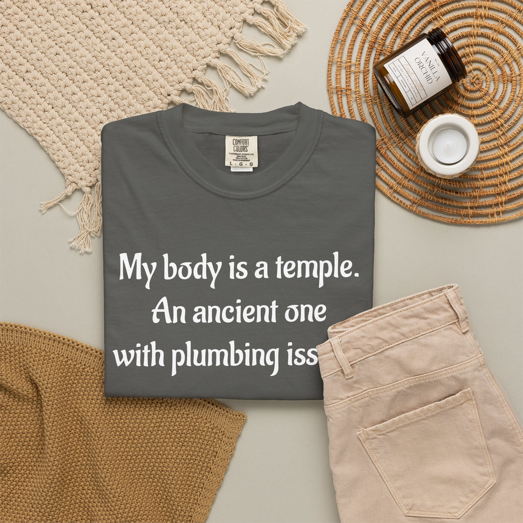 My Body Is a Temple Funny Plumbing Issues T-Shirt