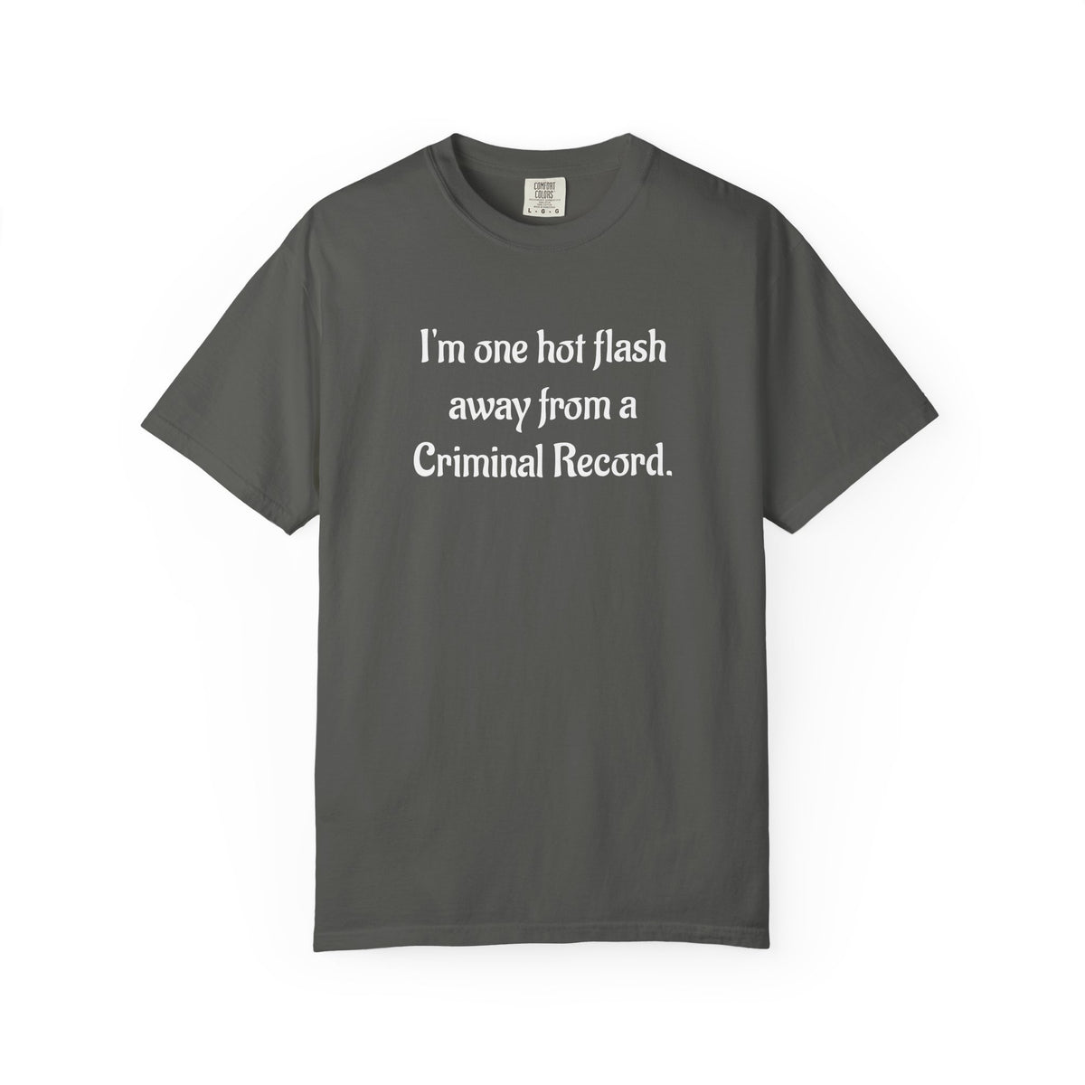 Criminal Record Funny Quote T-Shirt
