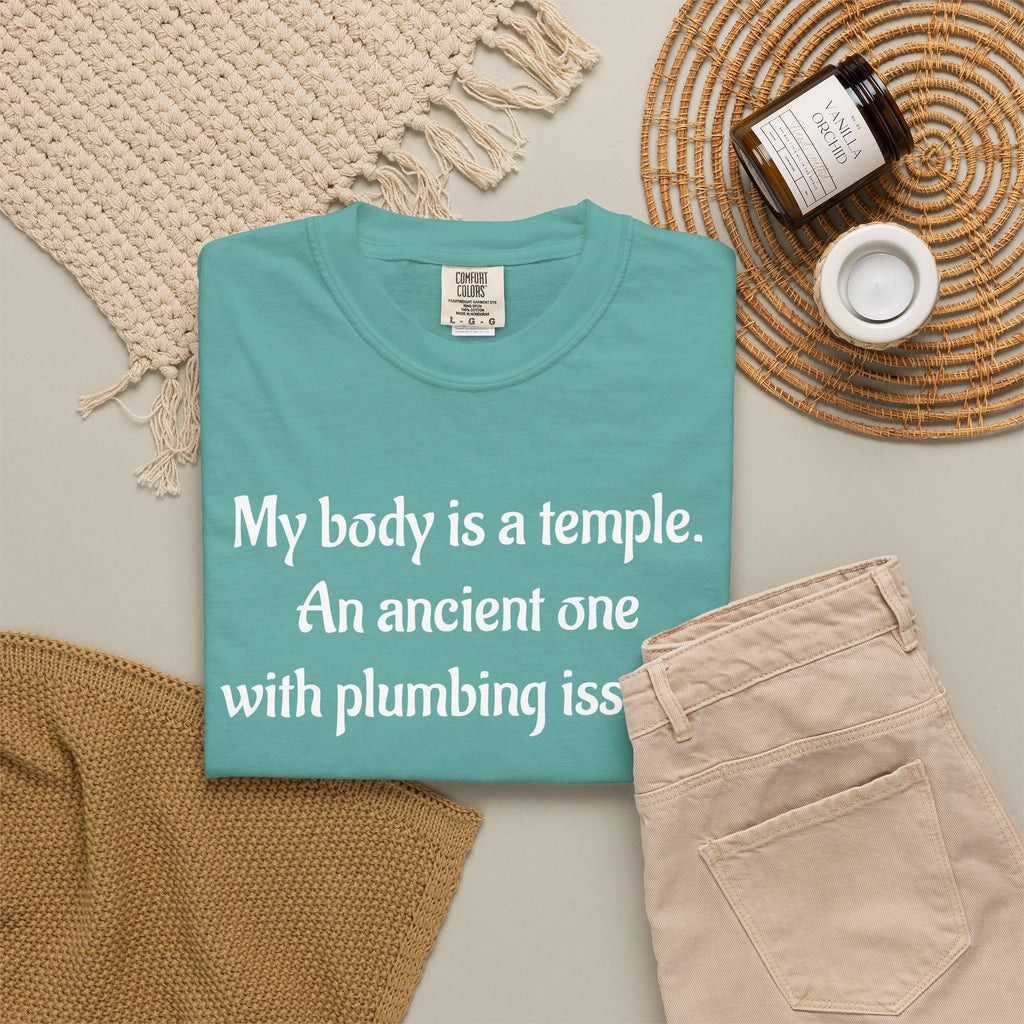 My Body Is a Temple Funny Plumbing Issues T-Shirt