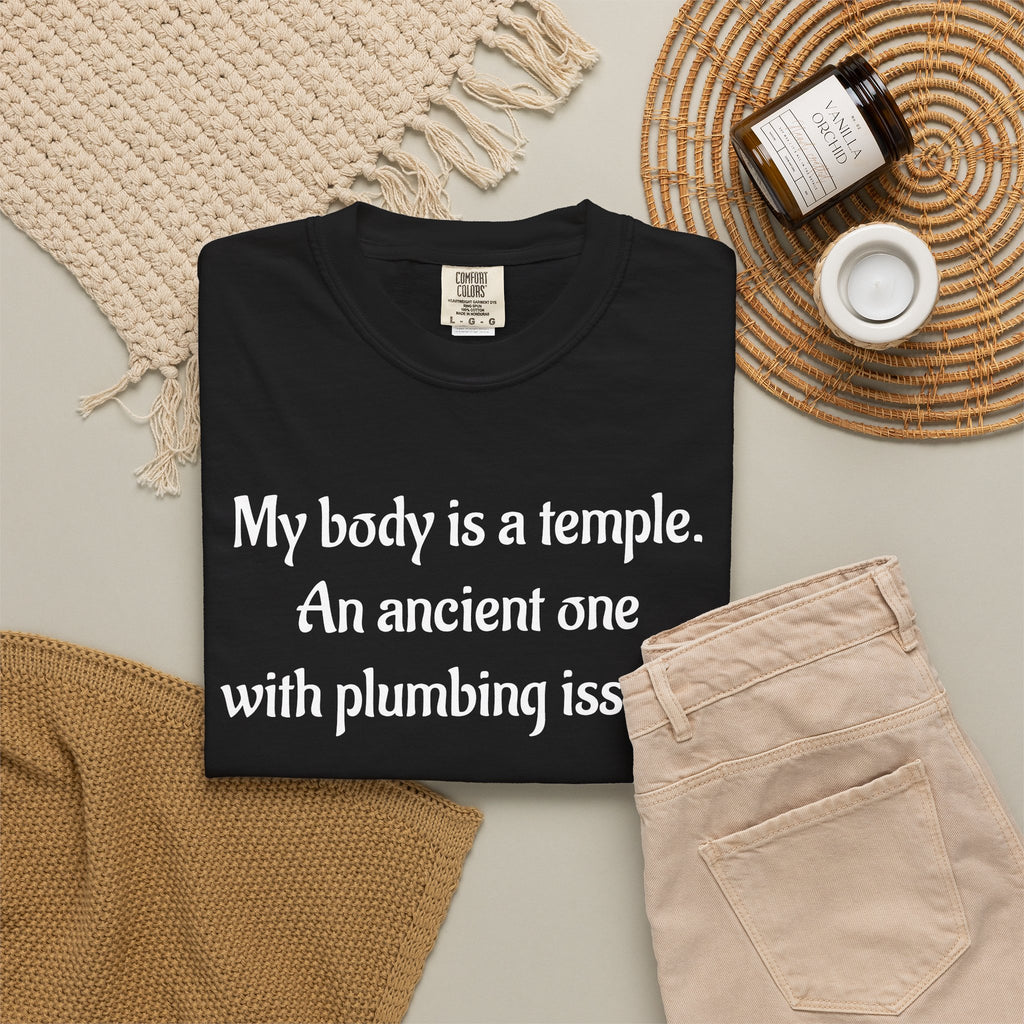 My Body Is a Temple Funny Plumbing Issues T-Shirt