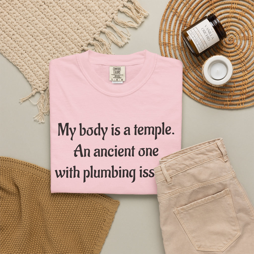 My Body Is a Temple Funny Plumbing Issues T-Shirt