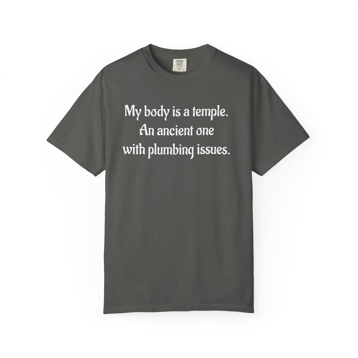 My Body Is a Temple Funny Plumbing Issues T-Shirt
