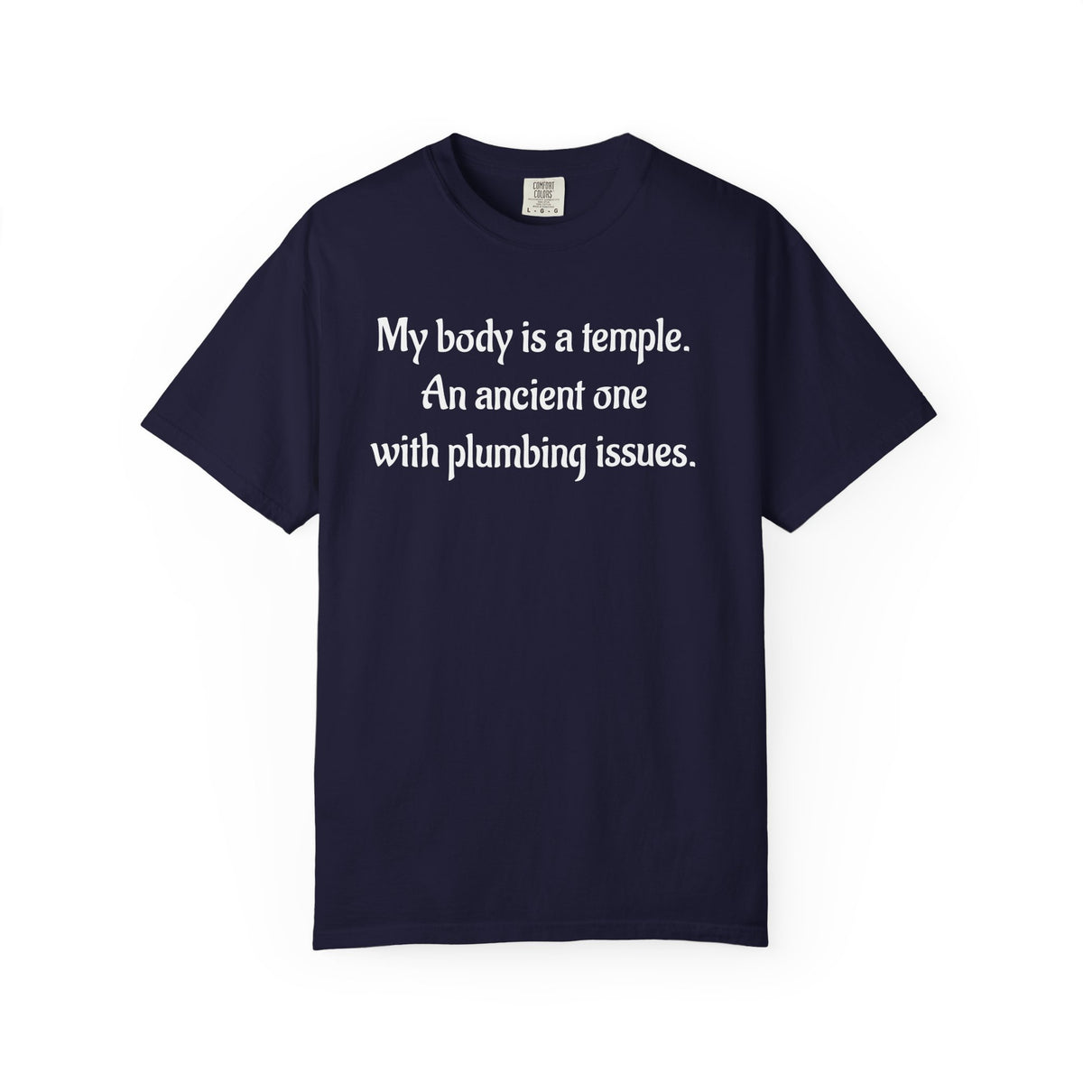 My Body Is a Temple Funny Plumbing Issues T-Shirt