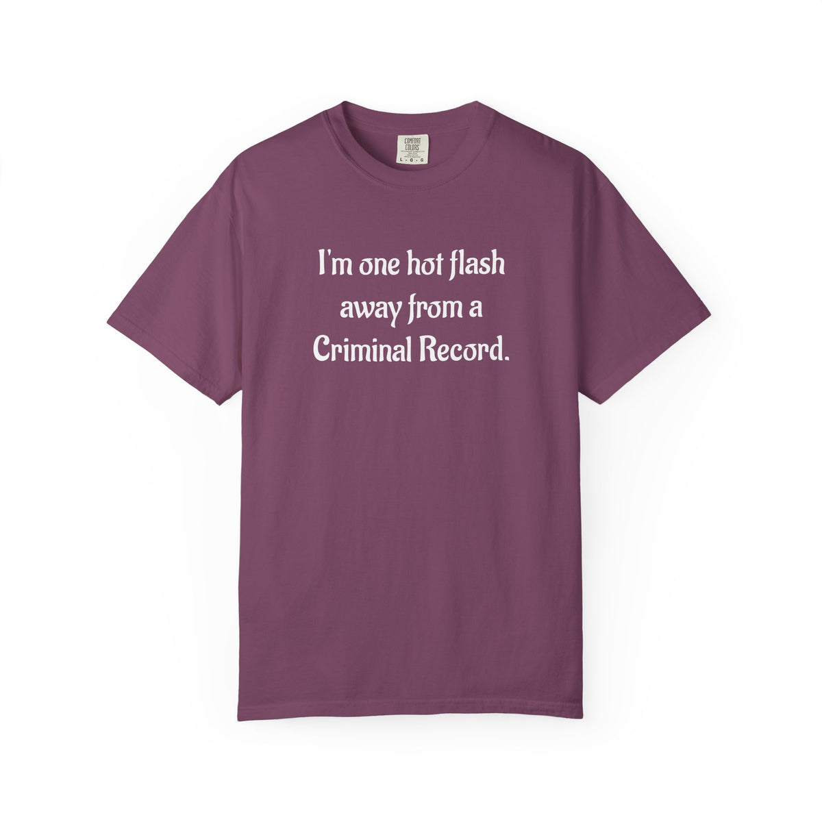 Criminal Record Funny Quote T-Shirt