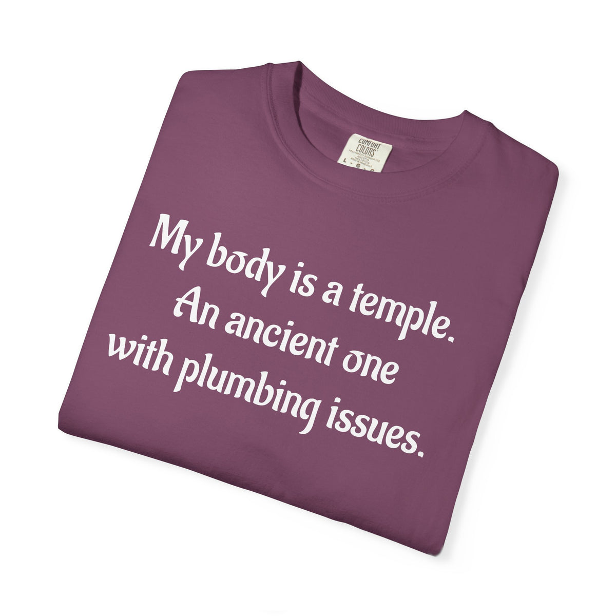 My Body Is a Temple Funny Plumbing Issues T-Shirt