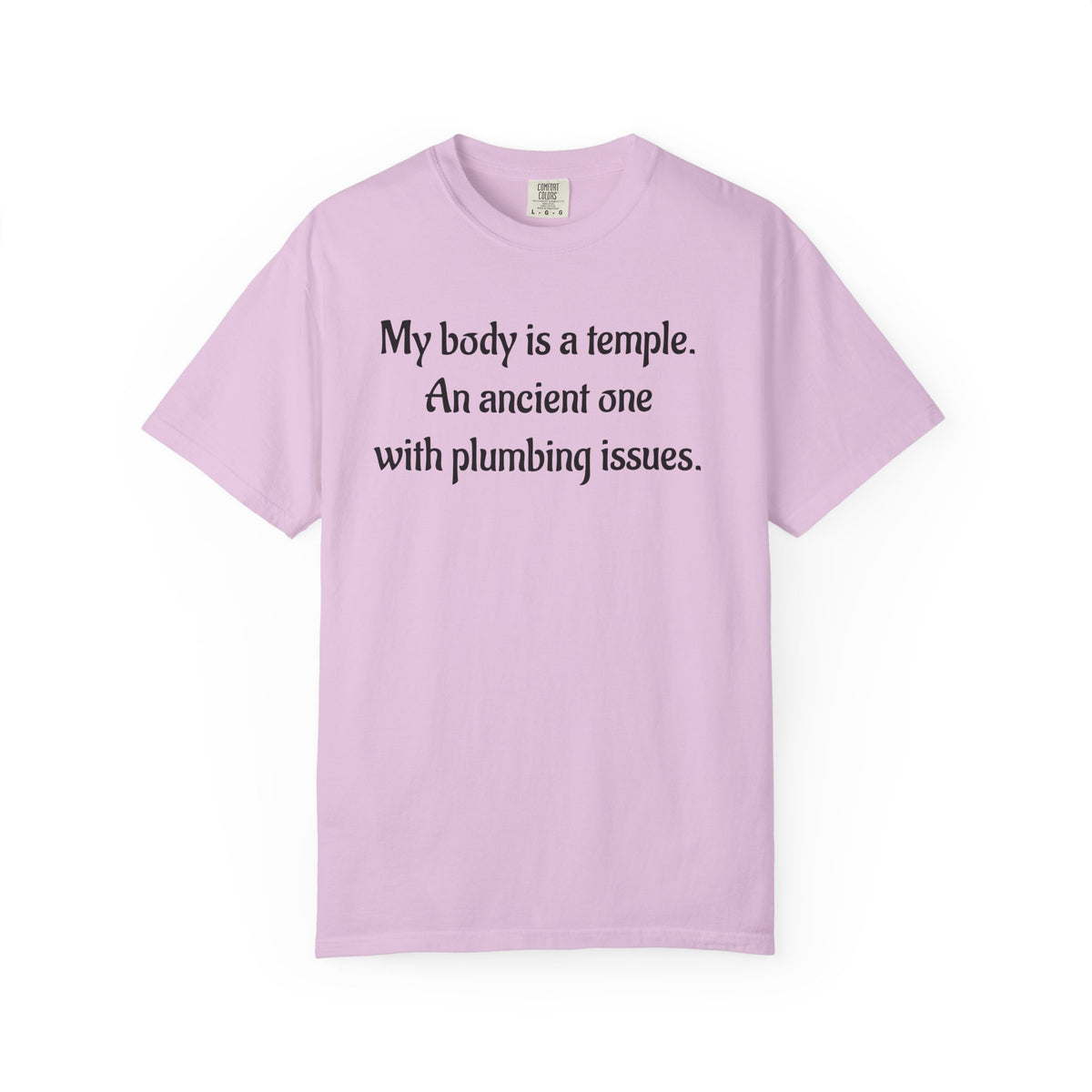 My Body Is a Temple Funny Plumbing Issues T-Shirt