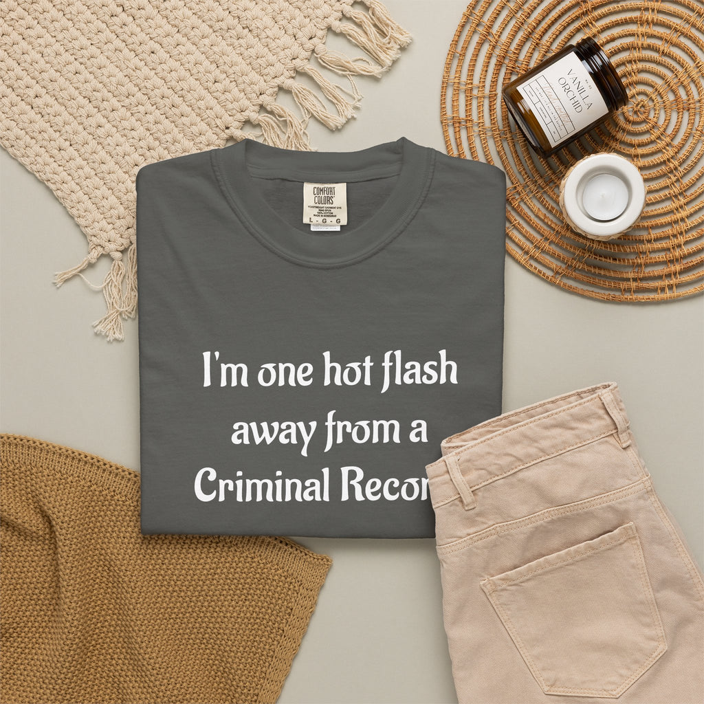 Criminal Record Funny Quote T-Shirt