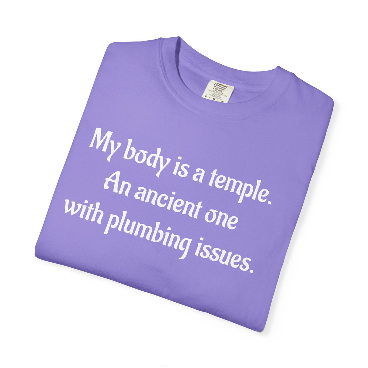 My Body Is a Temple Funny Plumbing Issues T-Shirt