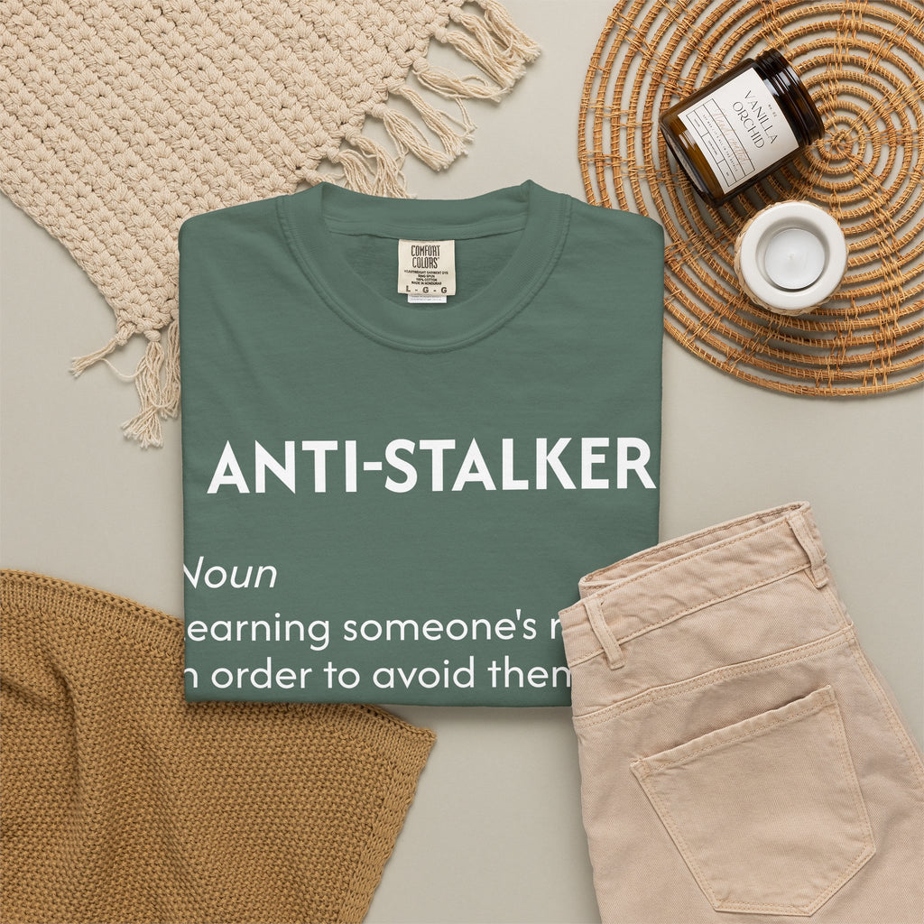 Anti-Stalker Noun Definition T-Shirt