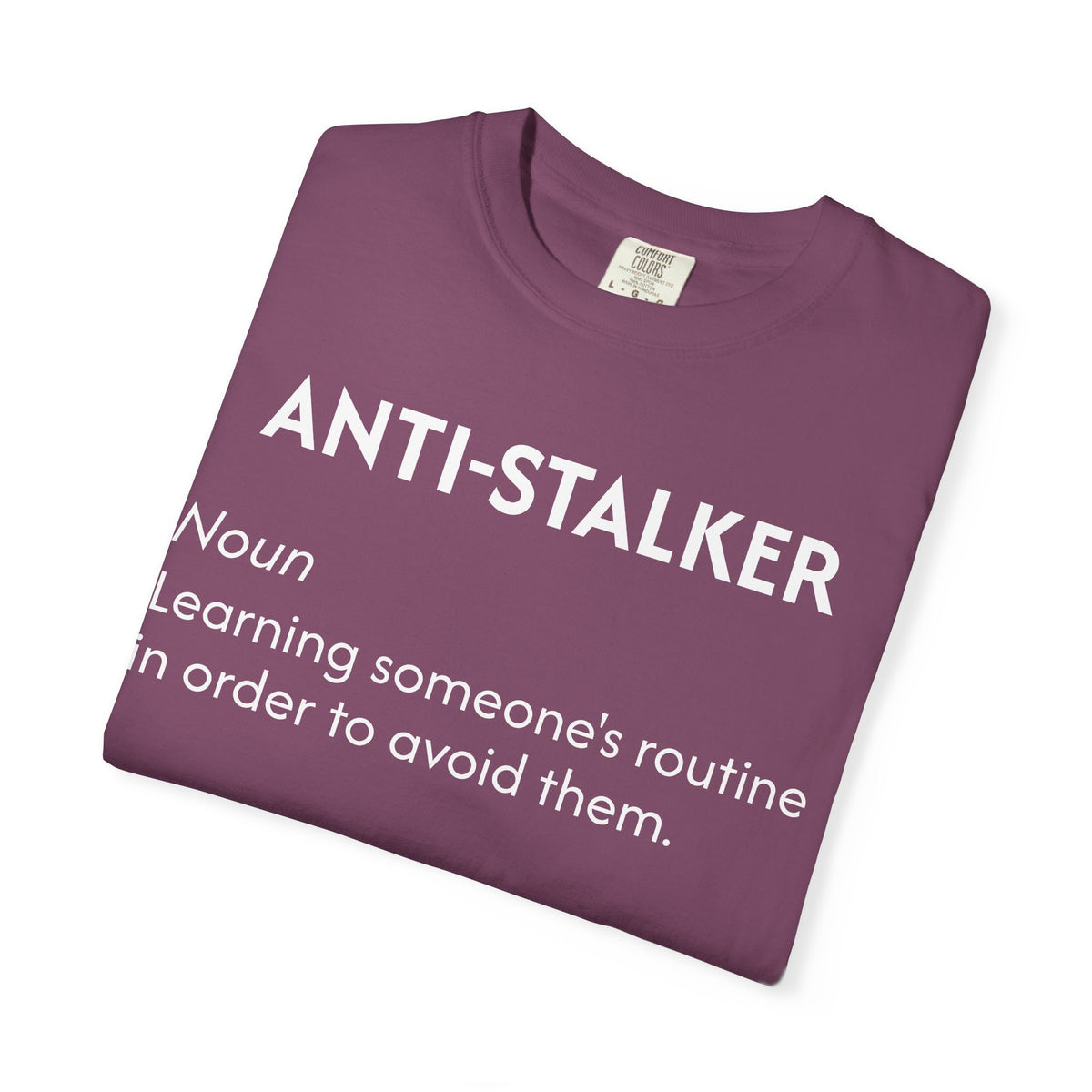 Anti-Stalker Noun Definition T-Shirt