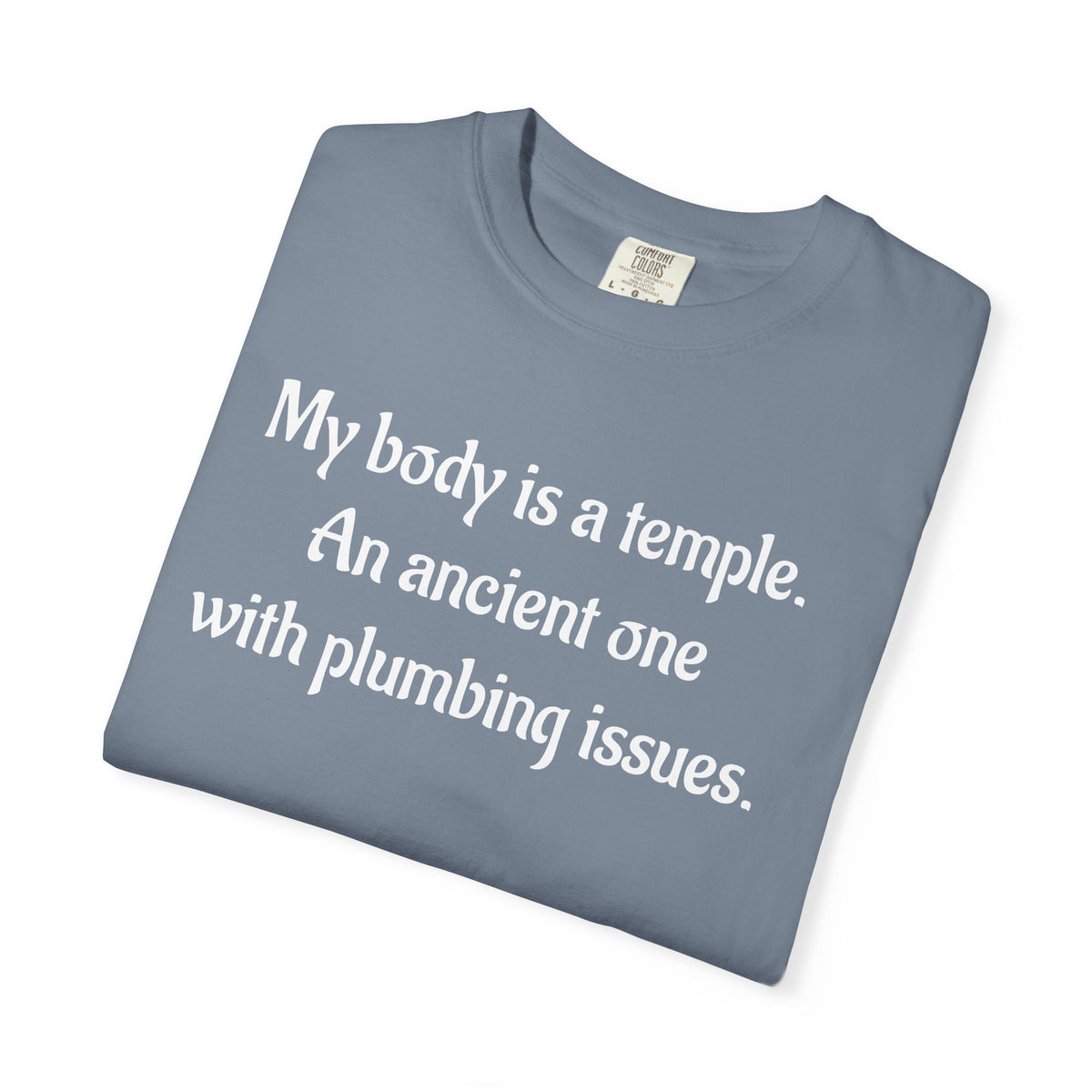 My Body Is a Temple Funny Plumbing Issues T-Shirt