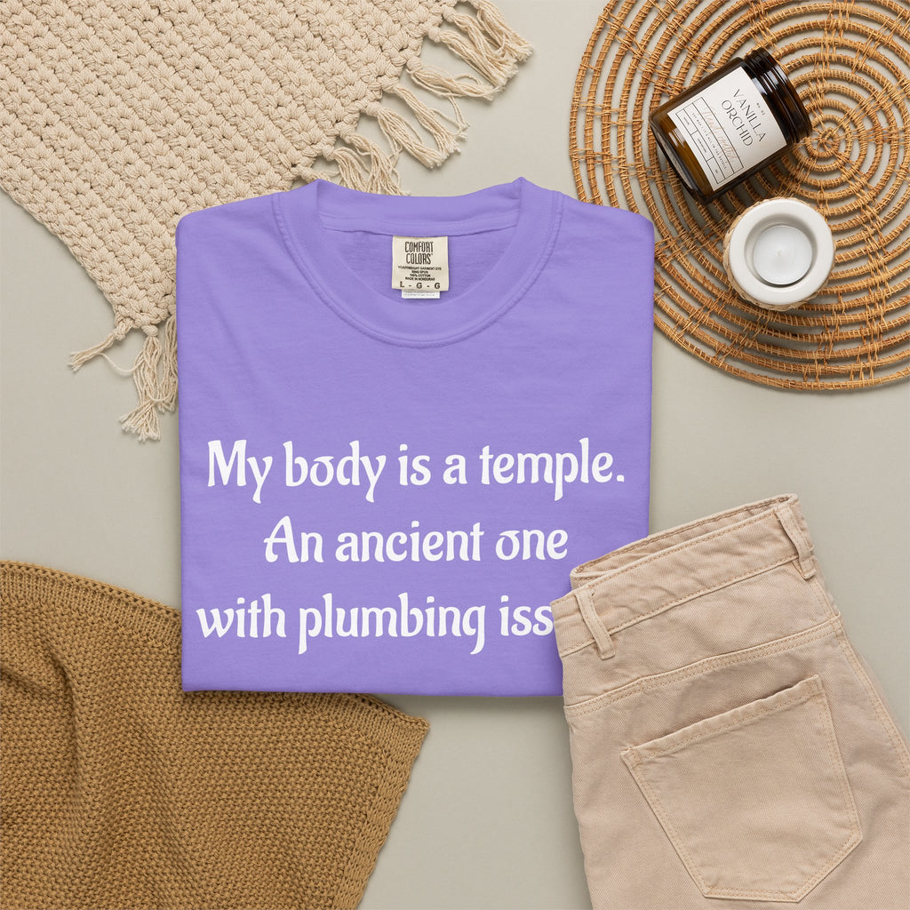 My Body Is a Temple Funny Plumbing Issues T-Shirt