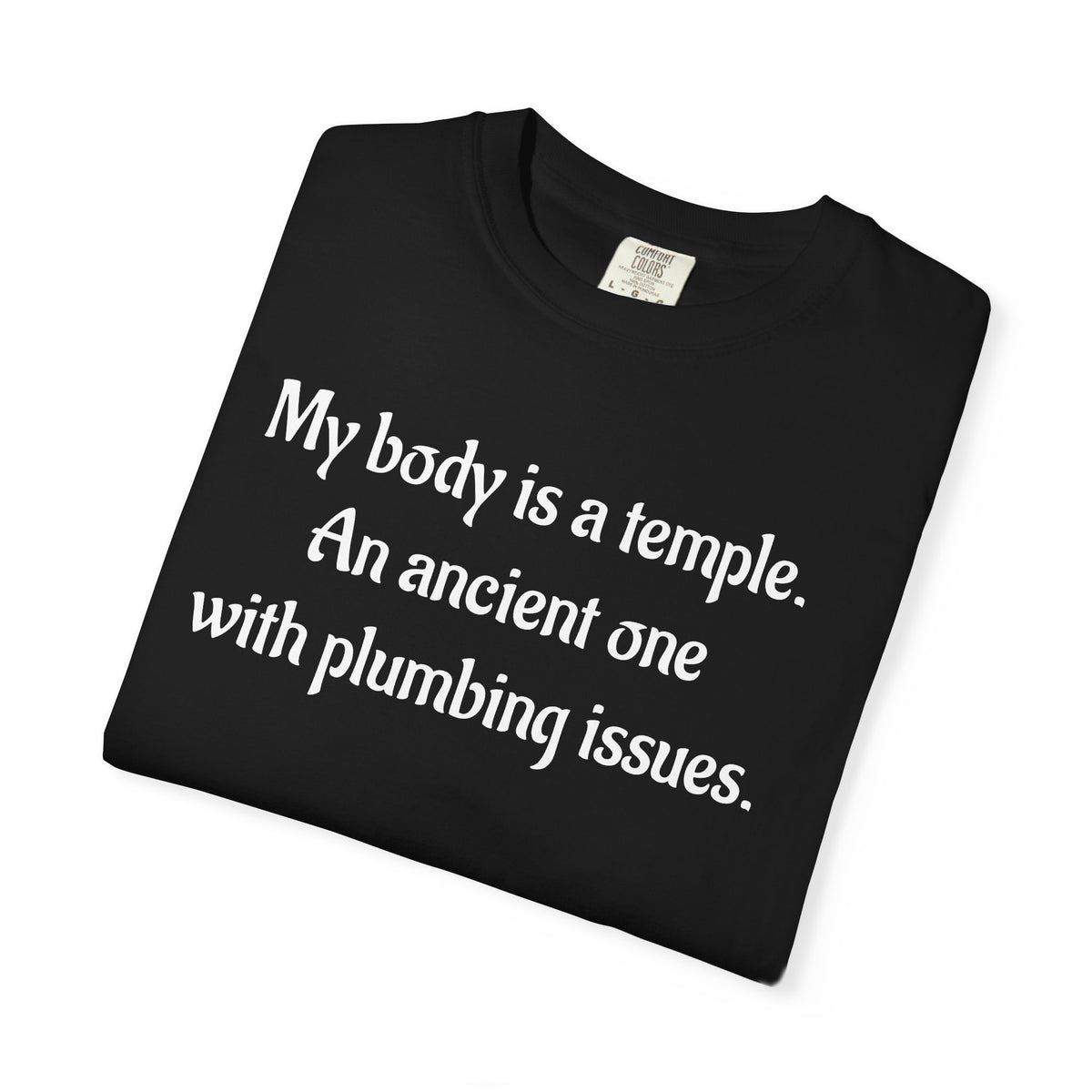 My Body Is a Temple Funny Plumbing Issues T-Shirt
