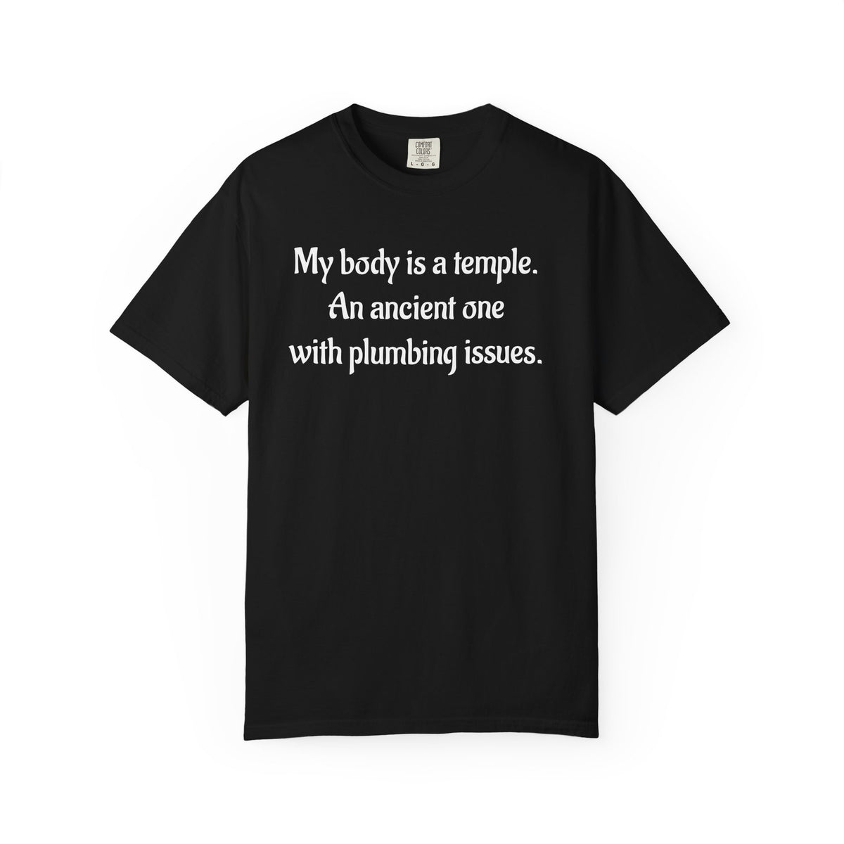 My Body Is a Temple Funny Plumbing Issues T-Shirt