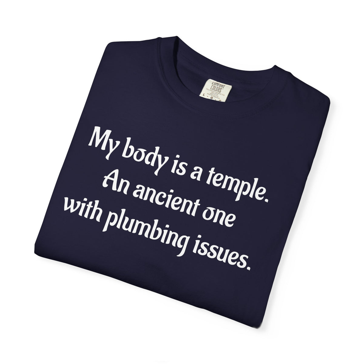 My Body Is a Temple Funny Plumbing Issues T-Shirt
