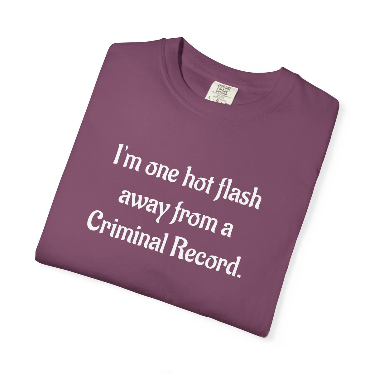 Criminal Record Funny Quote T-Shirt