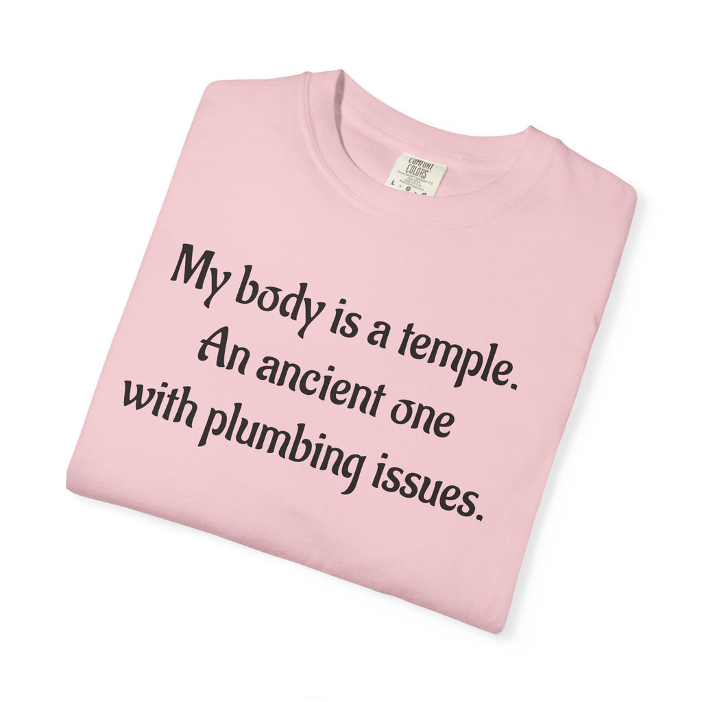 My Body Is a Temple Funny Plumbing Issues T-Shirt