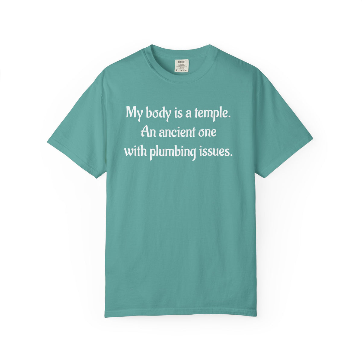 My Body Is a Temple Funny Plumbing Issues T-Shirt