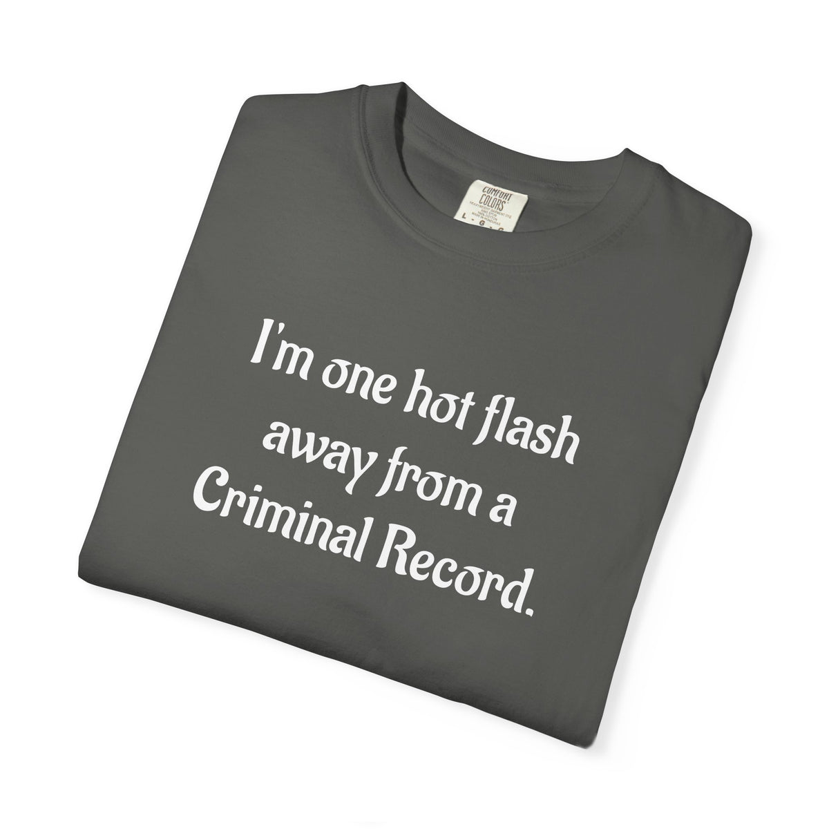 Criminal Record Funny Quote T-Shirt