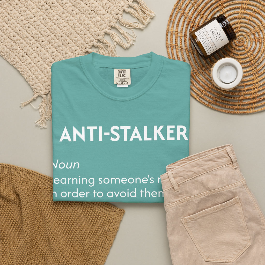 Anti-Stalker Noun Definition T-Shirt