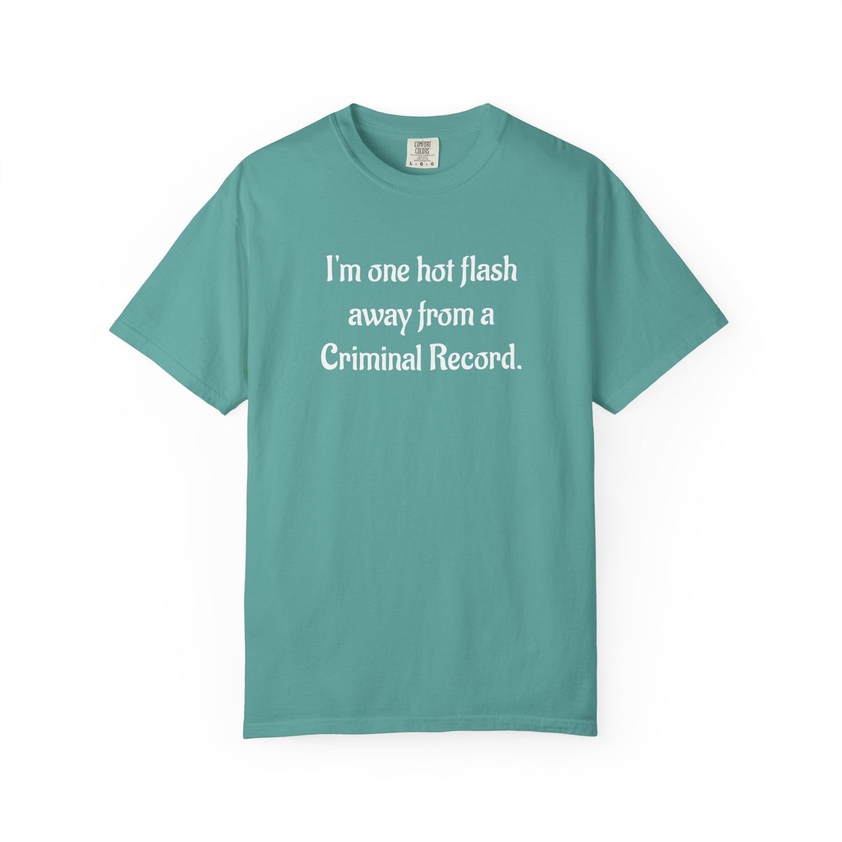 Criminal Record Funny Quote T-Shirt