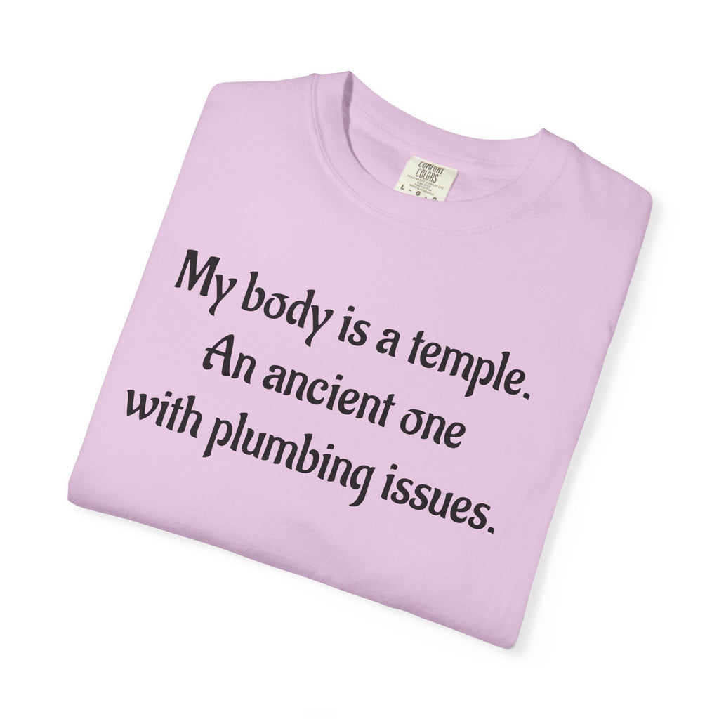 My Body Is a Temple Funny Plumbing Issues T-Shirt