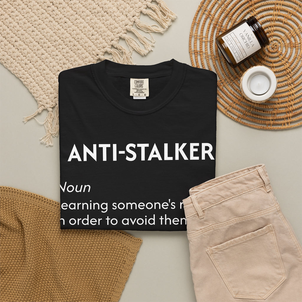 Anti-Stalker Noun Definition T-Shirt
