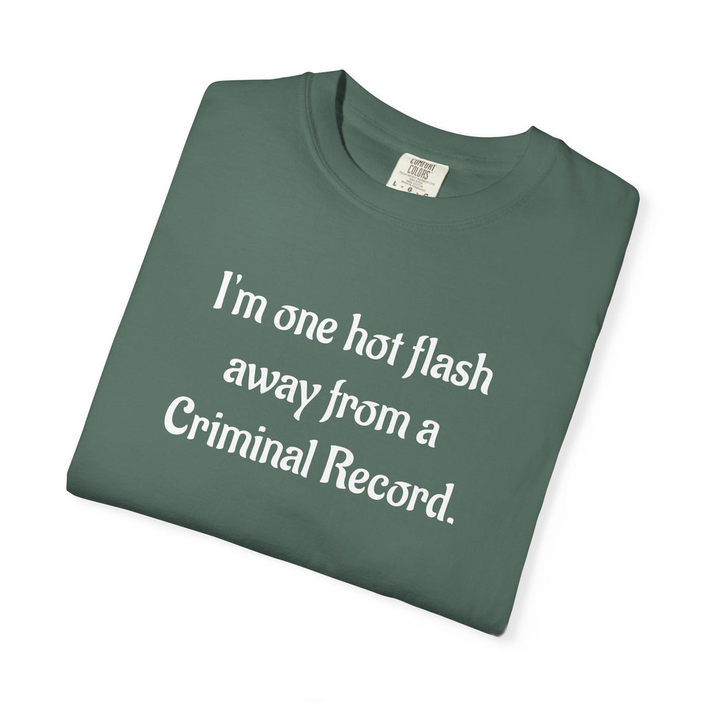 Criminal Record Funny Quote T-Shirt