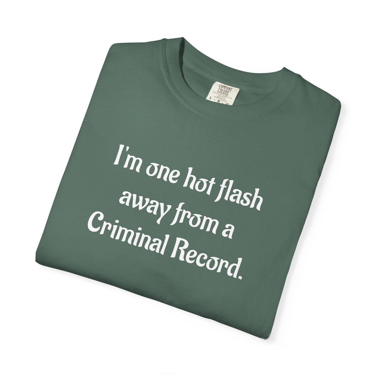 Criminal Record Funny Quote T-Shirt