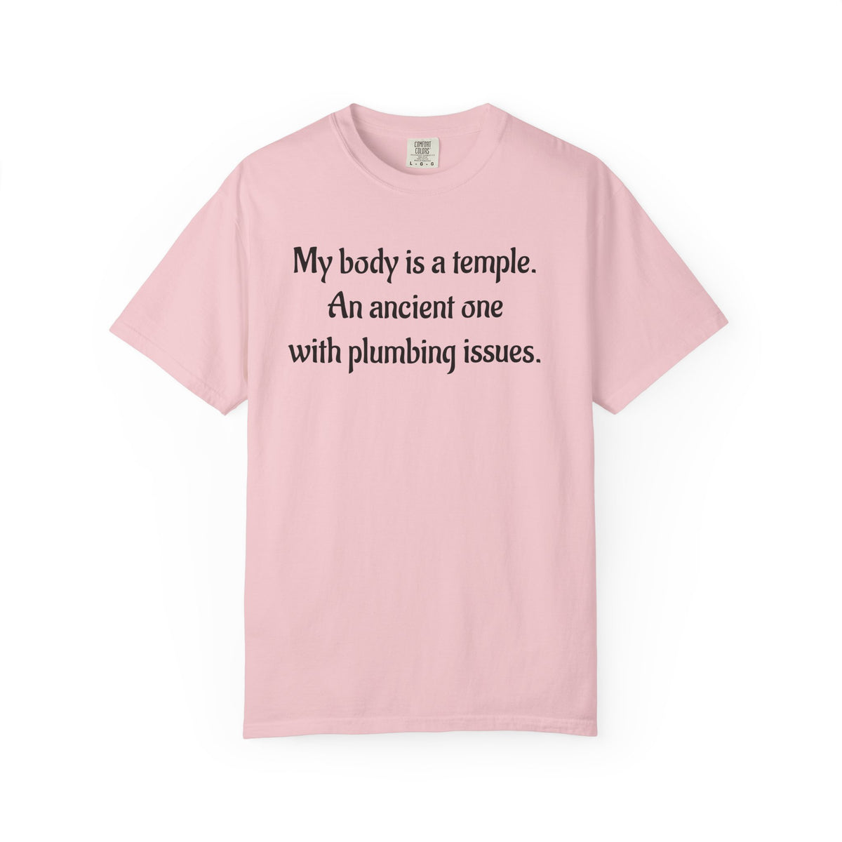 My Body Is a Temple Funny Plumbing Issues T-Shirt