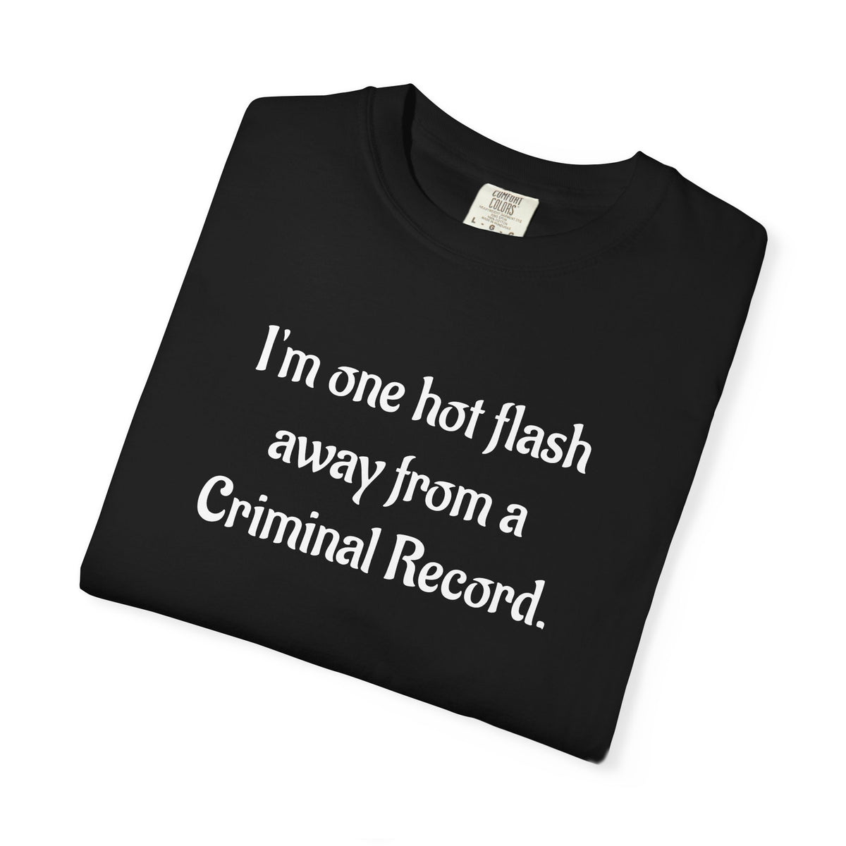 Criminal Record Funny Quote T-Shirt